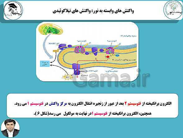 پاورپوینت آموزشی زیست شناسی (3) دوازدهم تجربی | فصل 6: از انرژی به ماده- پیش نمایش