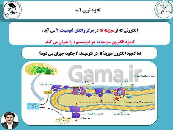 پاورپوینت آموزشی زیست شناسی (3) دوازدهم تجربی | فصل 6: از انرژی به ماده- پیش نمایش