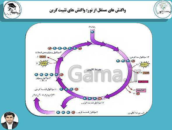 پاورپوینت آموزشی زیست شناسی (3) دوازدهم تجربی | فصل 6: از انرژی به ماده- پیش نمایش