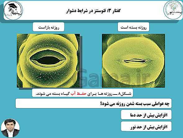 پاورپوینت آموزشی زیست شناسی (3) دوازدهم تجربی | فصل 6: از انرژی به ماده- پیش نمایش