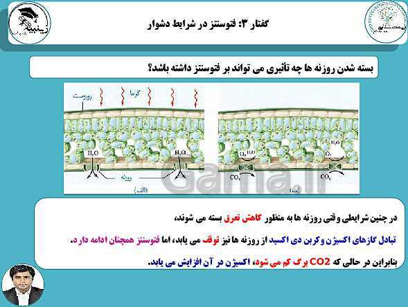 پاورپوینت آموزشی زیست شناسی (3) دوازدهم تجربی | فصل 6: از انرژی به ماده- پیش نمایش