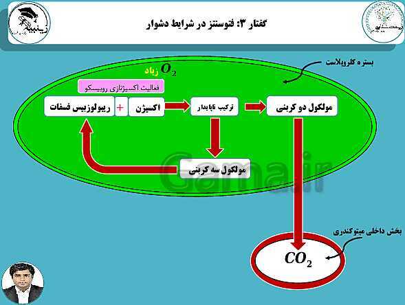 پاورپوینت آموزشی زیست شناسی (3) دوازدهم تجربی | فصل 6: از انرژی به ماده- پیش نمایش