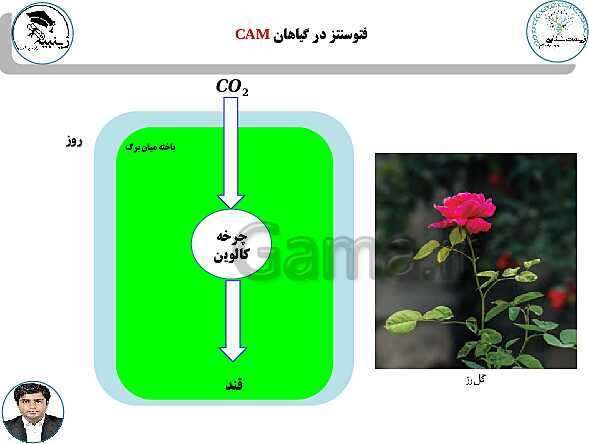 پاورپوینت آموزشی زیست شناسی (3) دوازدهم تجربی | فصل 6: از انرژی به ماده- پیش نمایش