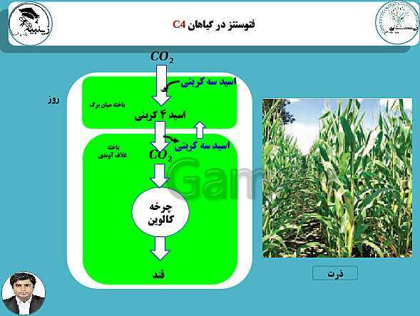 پاورپوینت آموزشی زیست شناسی (3) دوازدهم تجربی | فصل 6: از انرژی به ماده- پیش نمایش