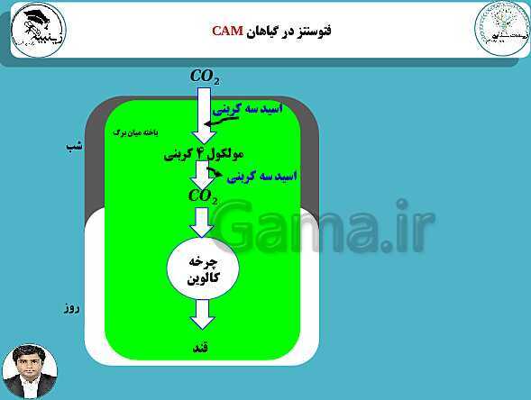 پاورپوینت آموزشی زیست شناسی (3) دوازدهم تجربی | فصل 6: از انرژی به ماده- پیش نمایش