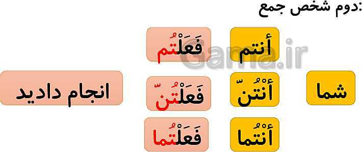 پاورپوینت عربی هفتم  | درس 9: الْاسْرةُ النّاجِحَةُ- پیش نمایش