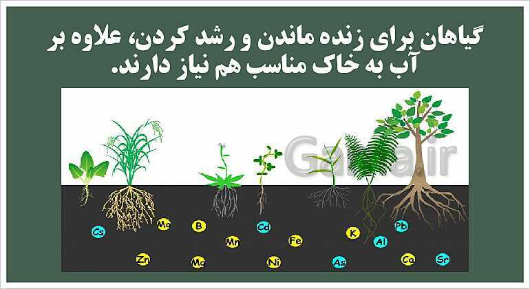 پاورپوینت آموزش علوم تجربی پنجم دبستان | درس 11: بکارید و بخورید- پیش نمایش