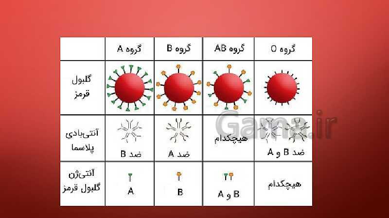 پاورپوینت آزمایشگاه علوم تجربی (1) دهم |  تعیین گروه های خونی- پیش نمایش