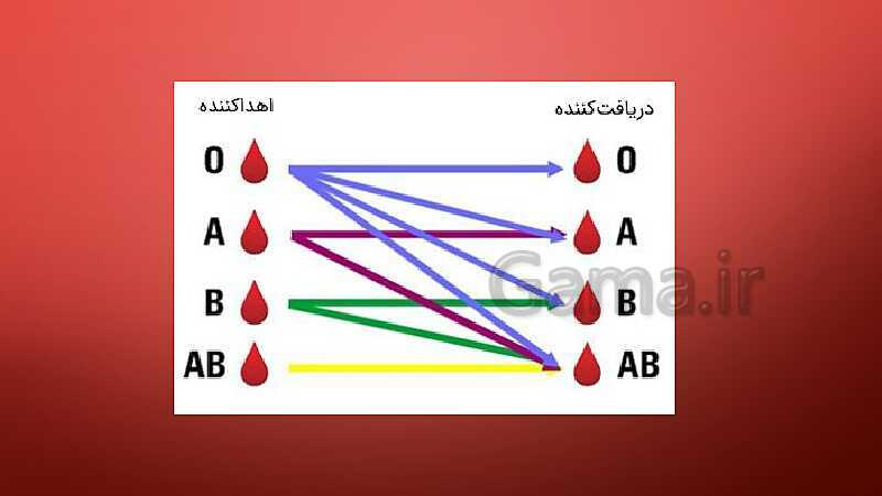 پاورپوینت آزمایشگاه علوم تجربی (1) دهم |  تعیین گروه های خونی- پیش نمایش