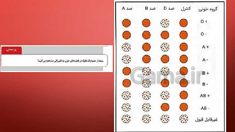 پاورپوینت آزمایشگاه علوم تجربی (1) دهم |  تعیین گروه های خونی- پیش نمایش