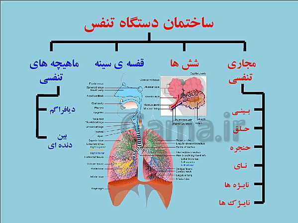 پاورپوینت علوم تجربی هفتم | فصل 15: تبادل با محیط- پیش نمایش