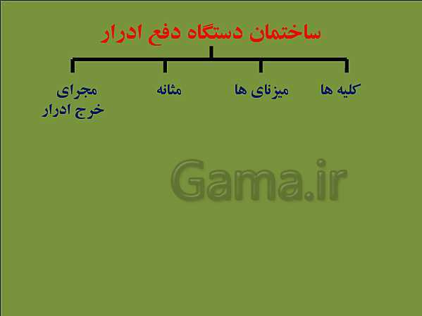 پاورپوینت علوم تجربی هفتم | فصل 15: تبادل با محیط- پیش نمایش