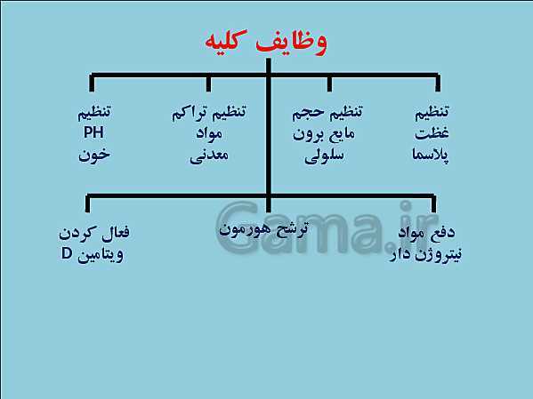 پاورپوینت علوم تجربی هفتم | فصل 15: تبادل با محیط- پیش نمایش