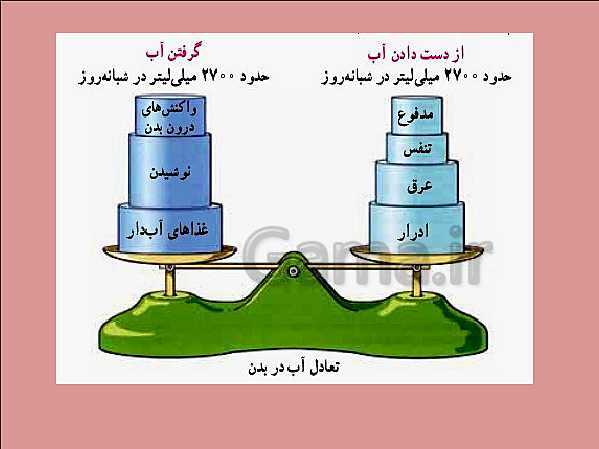 پاورپوینت علوم تجربی هفتم | فصل 15: تبادل با محیط- پیش نمایش