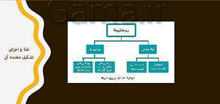 پاورپوینت مراقبت از سلامت کودک دهم هنرستان | فصل 4: نظارت بر تغذیۀ سالم کودک- پیش نمایش