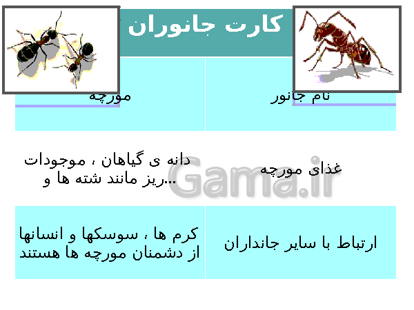 پاورپوینت علوم دوم ابتدائی | فصل 10: درون آشیانه ها- پیش نمایش