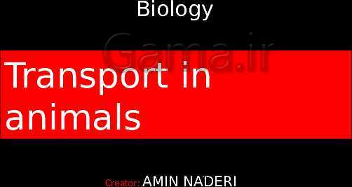 Biology: Transport in animals- پیش نمایش