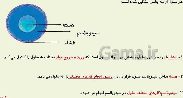 پاورپوینت علوم تجربی چهارم دبستان | ساختمان سلول و دستگاه گوارش- پیش نمایش