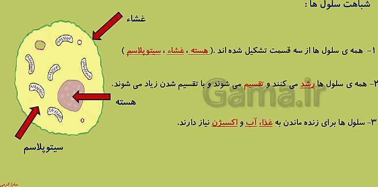 پاورپوینت علوم تجربی چهارم دبستان | ساختمان سلول و دستگاه گوارش- پیش نمایش