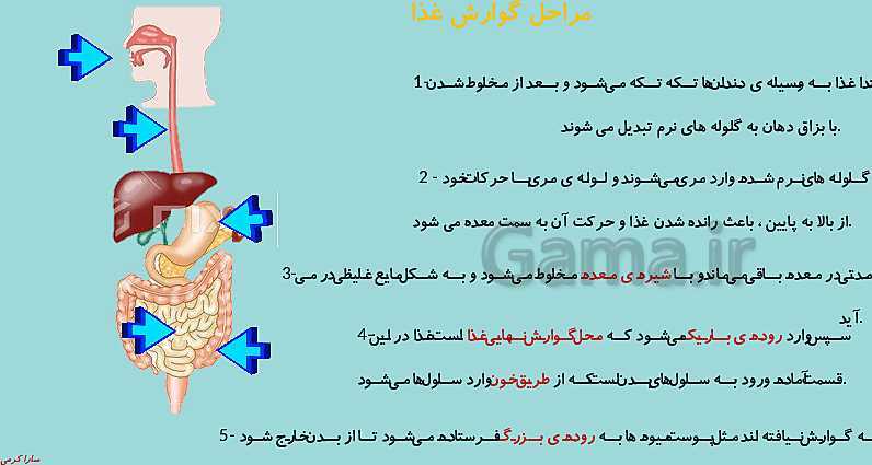 پاورپوینت علوم تجربی چهارم دبستان | ساختمان سلول و دستگاه گوارش- پیش نمایش