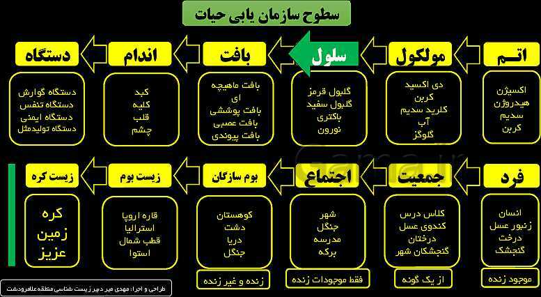 پاورپوینت زیست شناسی (1) دهم | مولکول های زیستی- پیش نمایش