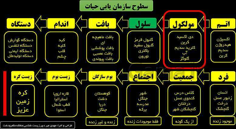 پاورپوینت زیست شناسی (1) دهم | مولکول های زیستی- پیش نمایش