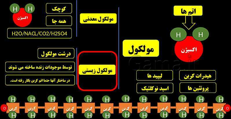 پاورپوینت زیست شناسی (1) دهم | مولکول های زیستی- پیش نمایش