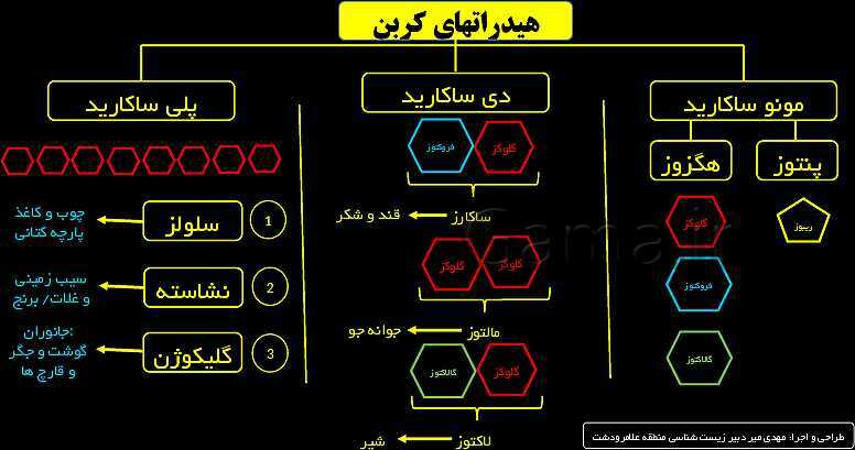 پاورپوینت زیست شناسی (1) دهم | مولکول های زیستی- پیش نمایش