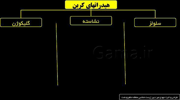 پاورپوینت زیست شناسی (1) دهم | مولکول های زیستی- پیش نمایش