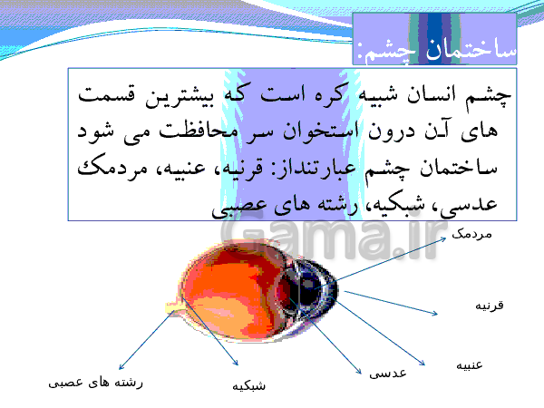 پاورپوینت علوم پنجم ابتدائی | ساختار چشم- پیش نمایش