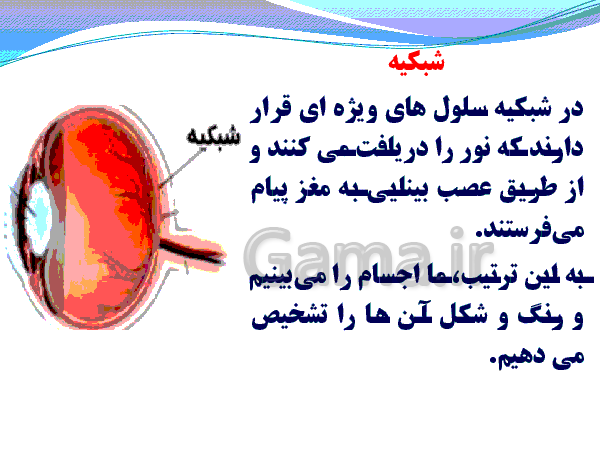 پاورپوینت علوم پنجم ابتدائی | ساختار چشم- پیش نمایش