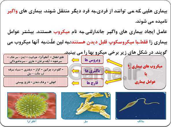 پاورپوینت آموزش علوم تجربی ششم دبستان | درس 13: سالم بمانیم- پیش نمایش