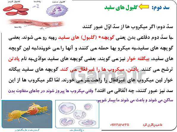 پاورپوینت آموزش علوم تجربی ششم دبستان | درس 13: سالم بمانیم- پیش نمایش