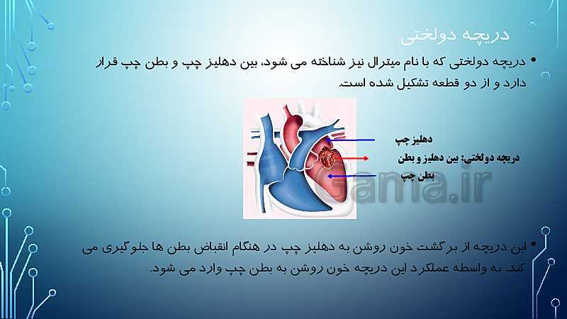 پاورپوینت اطلاعات جمع آوری کنید در مورد اهمیت دریچه های مختلف با نام های بطنی دهلیزی و سینی | صفحه 119 کتاب درسی علوم هفتم- پیش نمایش