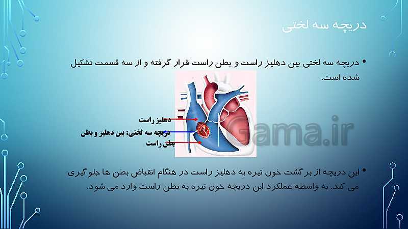 پاورپوینت اطلاعات جمع آوری کنید در مورد اهمیت دریچه های مختلف با نام های بطنی دهلیزی و سینی | صفحه 119 کتاب درسی علوم هفتم- پیش نمایش