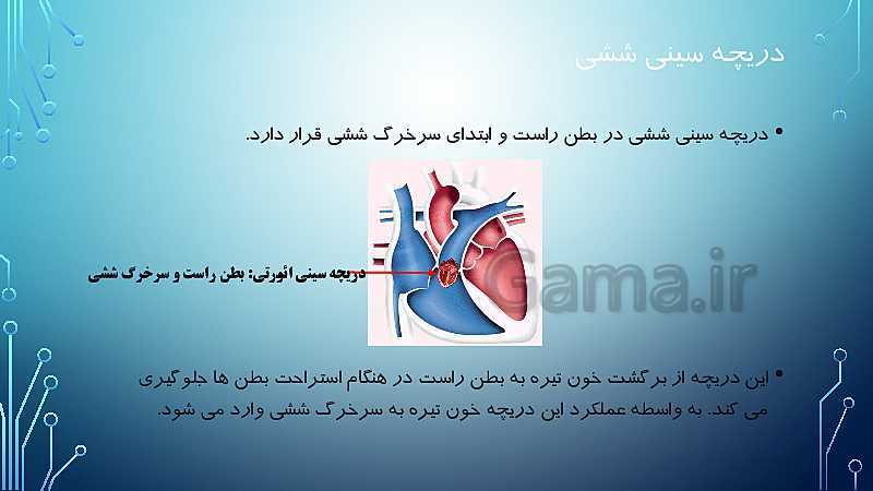 پاورپوینت اطلاعات جمع آوری کنید در مورد اهمیت دریچه های مختلف با نام های بطنی دهلیزی و سینی | صفحه 119 کتاب درسی علوم هفتم- پیش نمایش