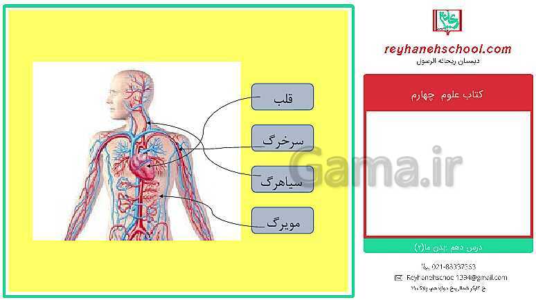 پاورپوینت تدریس علوم کلاس چهارم دبستان | درس 10: بدن ما (2)- پیش نمایش