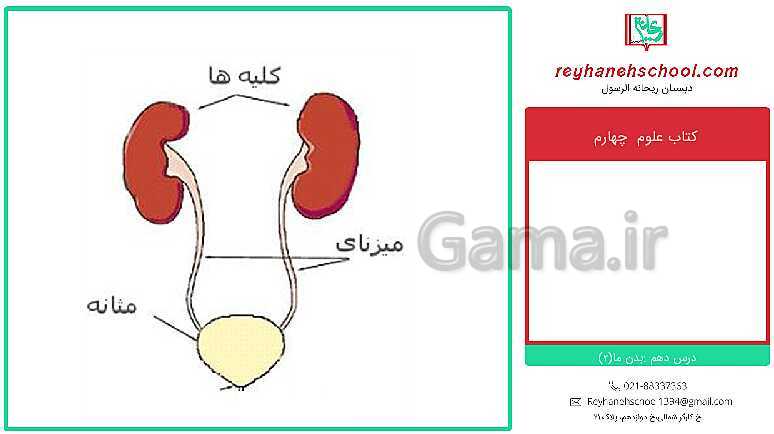 پاورپوینت تدریس علوم کلاس چهارم دبستان | درس 10: بدن ما (2)- پیش نمایش