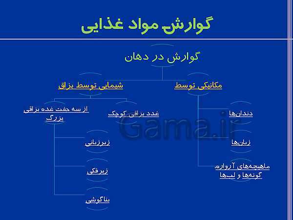 پاورپوینت تدریس زیست شناسی دهم تجربی | گوارش و جذب مواد و تنظیم فعالیت دستگاه گوارش- پیش نمایش