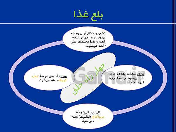 پاورپوینت تدریس زیست شناسی دهم تجربی | گوارش و جذب مواد و تنظیم فعالیت دستگاه گوارش- پیش نمایش