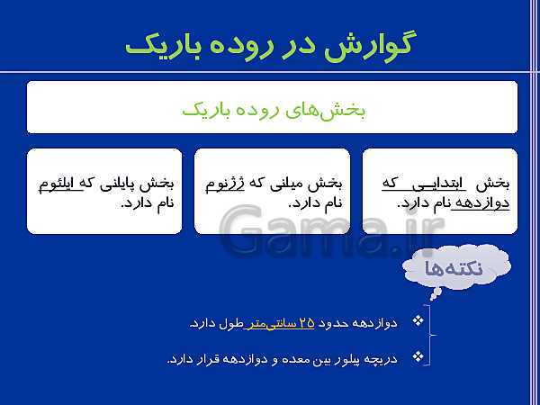 پاورپوینت تدریس زیست شناسی دهم تجربی | گوارش و جذب مواد و تنظیم فعالیت دستگاه گوارش- پیش نمایش