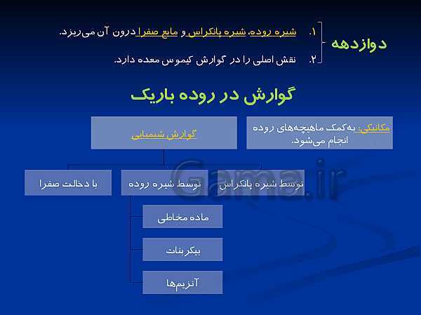 پاورپوینت تدریس زیست شناسی دهم تجربی | گوارش و جذب مواد و تنظیم فعالیت دستگاه گوارش- پیش نمایش