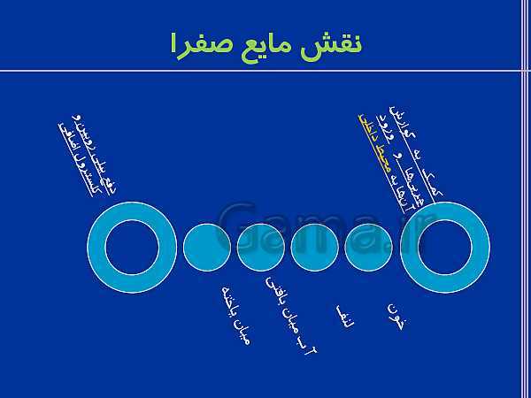 پاورپوینت تدریس زیست شناسی دهم تجربی | گوارش و جذب مواد و تنظیم فعالیت دستگاه گوارش- پیش نمایش