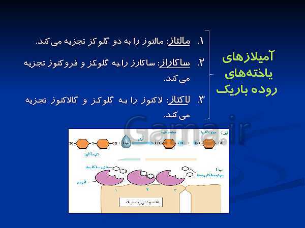 پاورپوینت تدریس زیست شناسی دهم تجربی | گوارش و جذب مواد و تنظیم فعالیت دستگاه گوارش- پیش نمایش