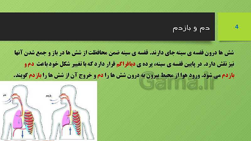 پاورپوینت کنفرانس علوم تجربی هفتم | فصل 15: تبادل با محیط- پیش نمایش