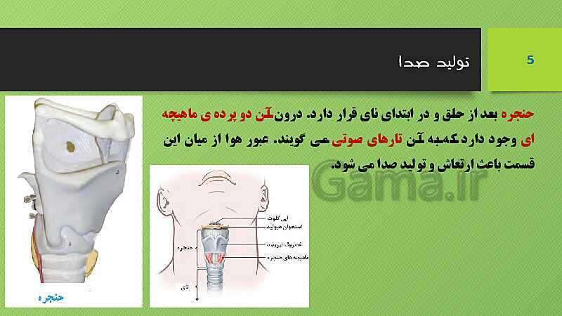 پاورپوینت کنفرانس علوم تجربی هفتم | فصل 15: تبادل با محیط- پیش نمایش