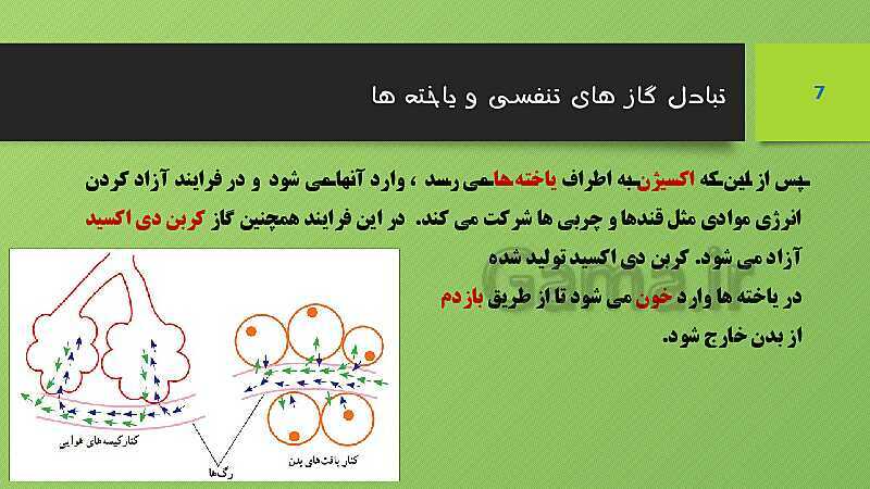 پاورپوینت کنفرانس علوم تجربی هفتم | فصل 15: تبادل با محیط- پیش نمایش