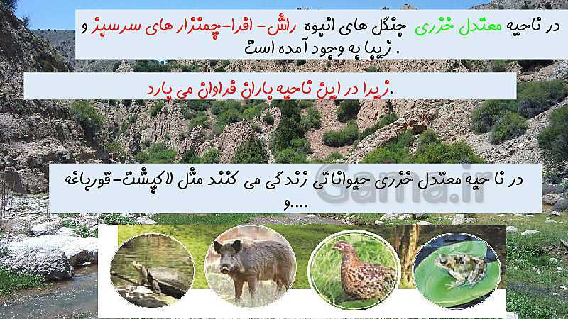پاورپوینت مطالعات اجتماعی چهارم دبستان | درس 18: پوشش گیاهی و زندگی جانوری در ایران- پیش نمایش