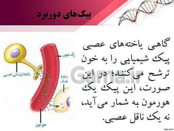 پاورپوینت تدریس زیست شناسی (2) یازدهم تجربی | فصل 4: تنظیم شیمیایی (گفتار 1: ارتباط شیمیایی)- پیش نمایش