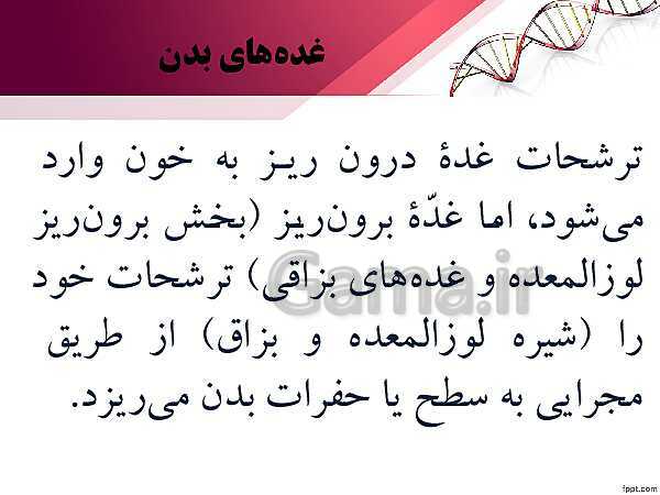 پاورپوینت تدریس زیست شناسی (2) یازدهم تجربی | فصل 4: تنظیم شیمیایی (گفتار 1: ارتباط شیمیایی)- پیش نمایش